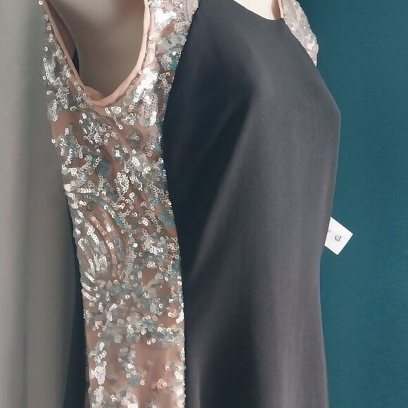 NWT R&M RICHARDS Embroidered Sequin Dress Size 6 - Picture 9 of 12